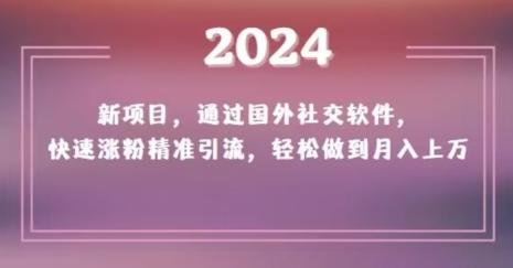 2024新项目，通过国外社交软件，快速涨粉精准引流，轻松做到月入上万【揭秘】-天娱网创