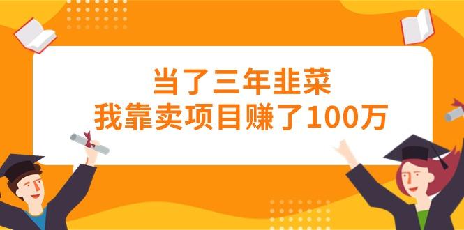 当了三年韭菜我靠卖项目赚了100万-天娱网创