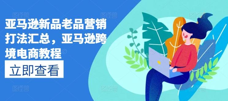 亚马逊新品老品营销打法汇总，亚马逊跨境电商教程-天娱网创