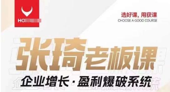 【组合课】张琦张琦老板企业增长·盈利爆破系统（直播专享）-天娱网创