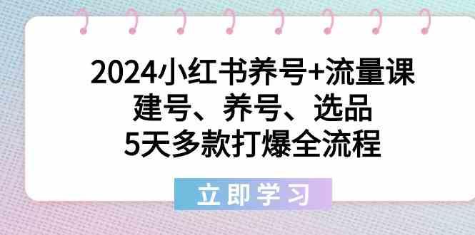 2024小红书养号+流量课：建号、养号、选品，5天多款打爆全流程-天娱网创