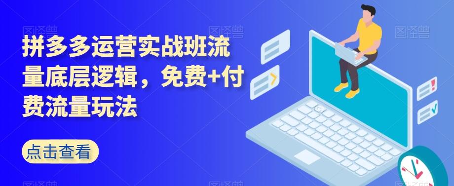拼多多运营实战班流量底层逻辑，免费+付费流量玩法-天娱网创
