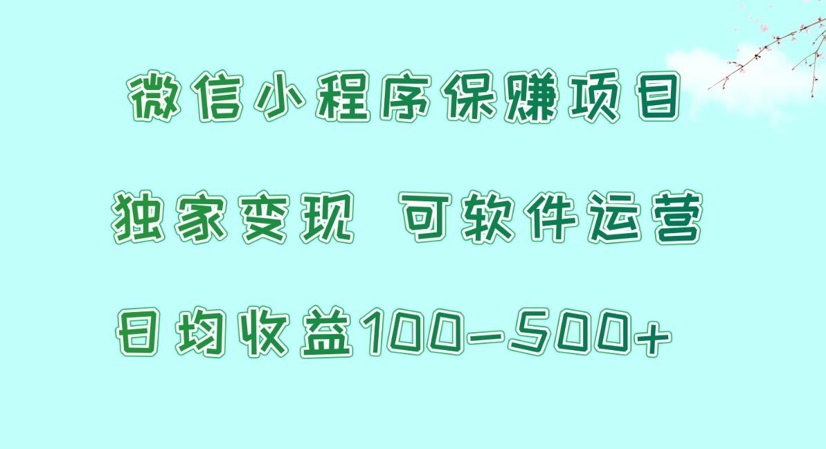 微信小程序保赚项目，日均收益100~500+，独家变现，可软件运营-天娱网创