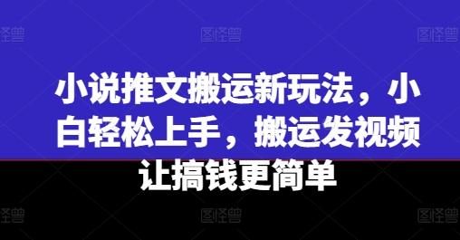 小说推文搬运新玩法，小白轻松上手，搬运发视频让搞钱更简单-天娱网创