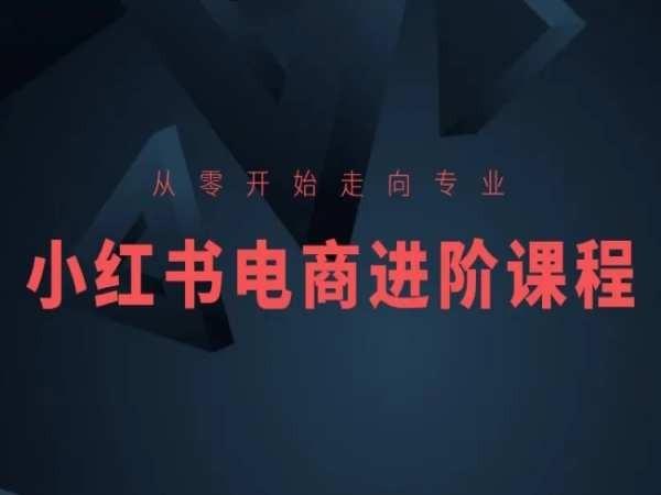 从零开始走向专业，小红书电商进阶课程-天娱网创