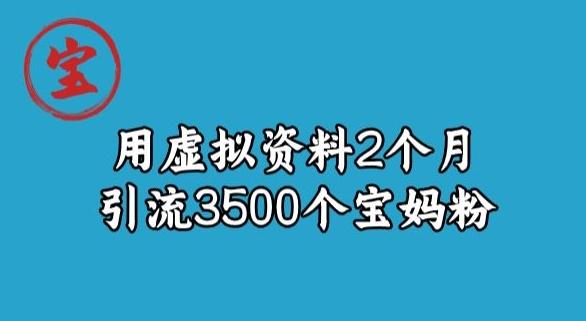 宝哥虚拟资料项目，2个月引流3500个宝妈粉-天娱网创
