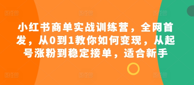 小红书商单实战训练营，全网首发，从0到1教你如何变现，从起号涨粉到稳定接单，适合新手-天娱网创