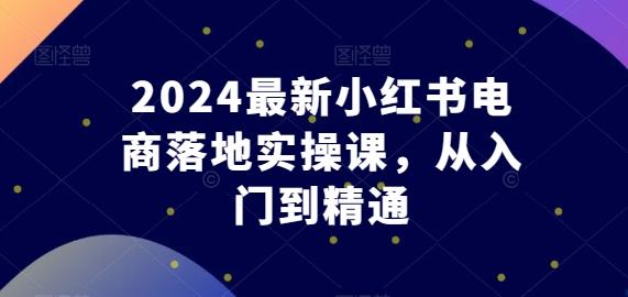 2024最新小红书电商落地实操课,从入门到精通