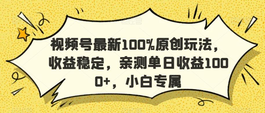 视频号最新100%原创玩法，收益稳定，亲测单日收益1000+，小白专属【揭秘】-天娱网创