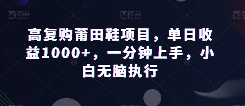 高复购莆田鞋项目，单日收益1000+，一分钟上手，小白无脑执行-天娱网创
