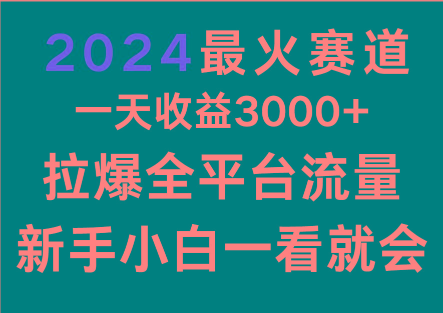 2024最火赛道，一天收一3000+.拉爆全平台流量，新手小白一看就会-天娱网创