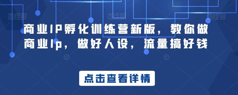 商业IP孵化训练营新版，教你做商业Ip，做好人设，流量搞好钱-天娱网创