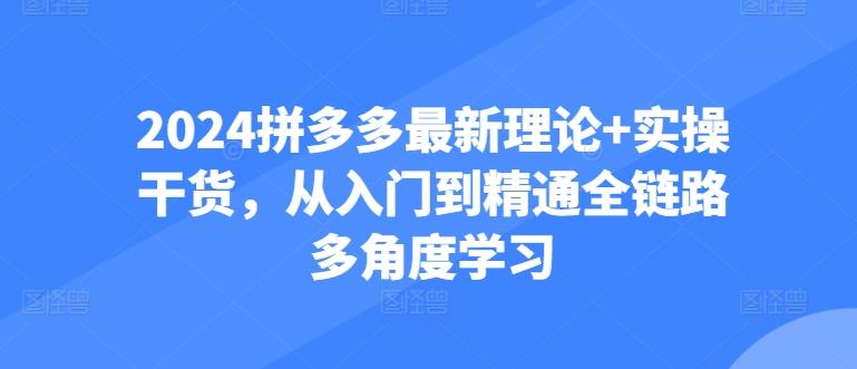 2024拼多多最新理论+实操干货，从入门到精通全链路多角度学习-天娱网创