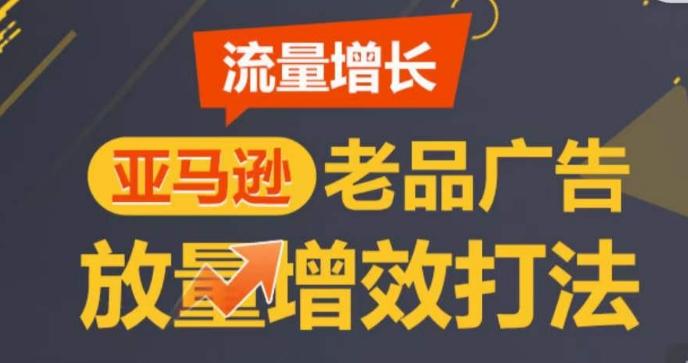 亚马逊流量增长-老品广告放量增效打法，循序渐进，打造更多TOP listing​-天娱网创