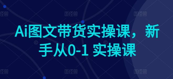 Ai图文带货实操课，新手从0-1 实操课-天娱网创