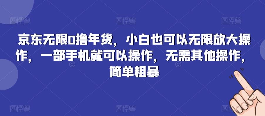 京东无限0撸年货，小白也可以无限放大操作，一部手机就可以操作，无需其他操作，简单粗暴-天娱网创