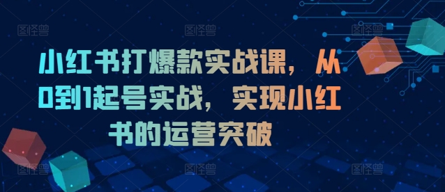 小红书打爆款实战课，从0到1起号实战，实现小红书的运营突破-天娱网创