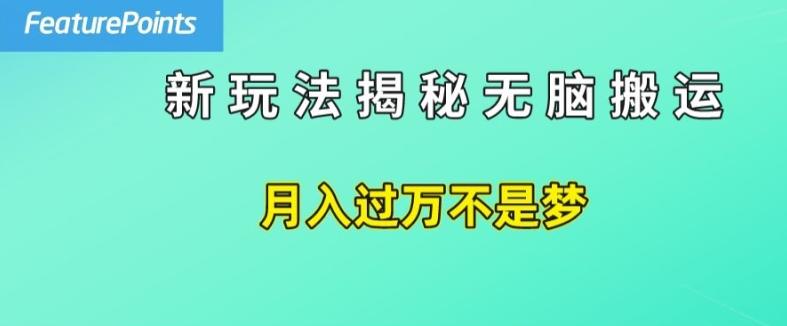 简单操作，每天50美元收入，搬运就是赚钱的秘诀【揭秘】-天娱网创