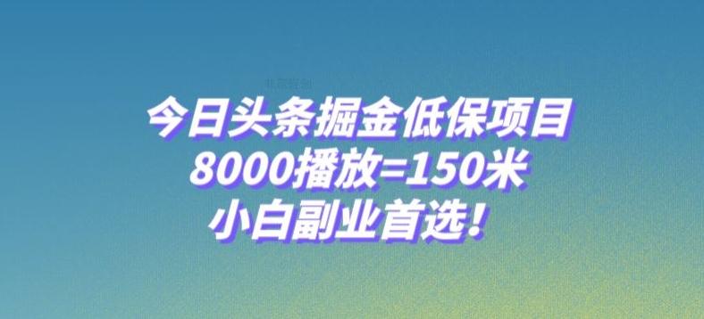 今日头条掘金低保项目，8000播放=150米，小白副业首选【揭秘】-天娱网创