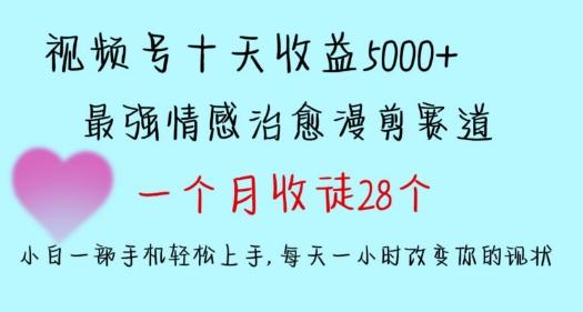 十天收益5000+，多平台捞金，视频号情感治愈漫剪，一个月收徒28个，小白一部手机轻松上手【揭秘】-天娱网创