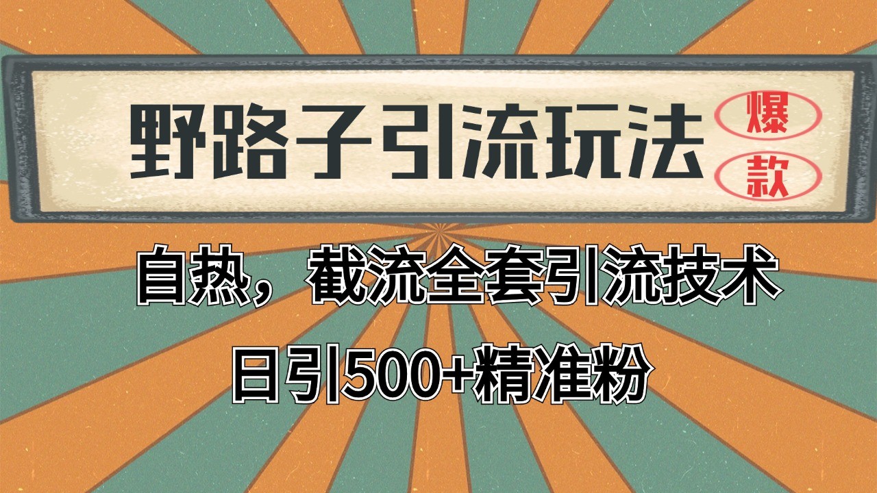 抖音小红书视频号全平台引流打法，全自动引流日引2000+精准客户-天娱网创