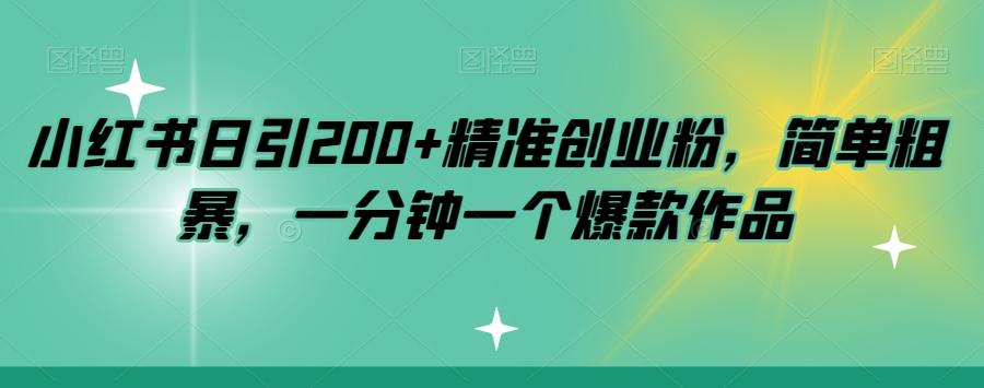 小红书日引200+精准创业粉，简单粗暴，一分钟一个爆款作品【揭秘】-天娱网创