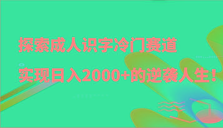 探索成人识字冷门赛道，实现日入2000+的逆袭人生！-天娱网创