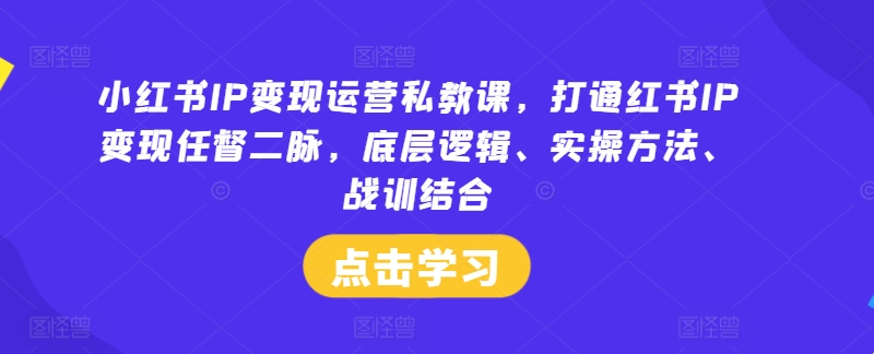 小红书IP变现运营私教课，打通红书IP变现任督二脉，底层逻辑、实操方法、战训结合-天娱网创