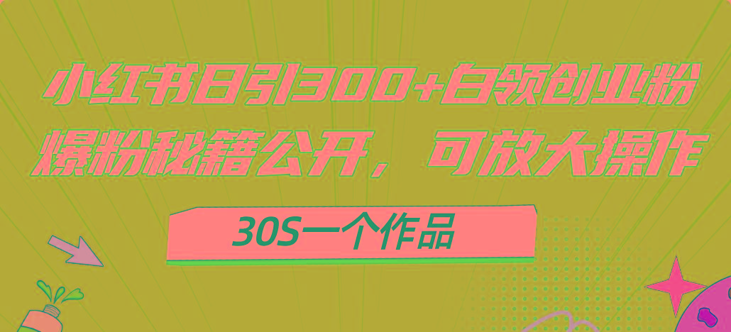 小红书日引300+高质白领创业粉，可放大操作，爆粉秘籍！30s一个作品-天娱网创