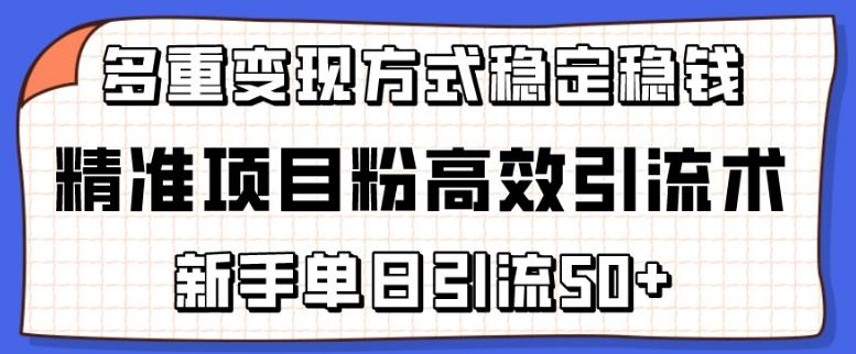 精准项目粉高效引流术，新手单日引流50+，多重变现方式稳定赚钱【揭秘】-天娱网创