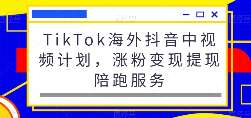 TikTok海外抖音中视频计划，涨粉变现提现陪跑服务-天娱网创