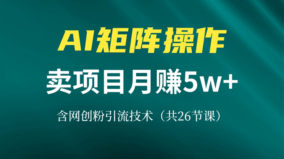网创IP打造课，借助AI卖项目月赚5万+，含引流技术(共26节课-天娱网创