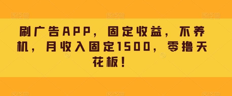刷广告APP，固定收益，不养机，月收入固定1500，零撸天花板！-天娱网创