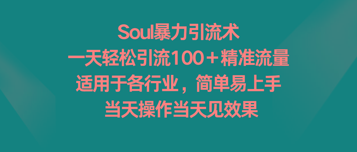 Soul暴力引流术，一天轻松引流100＋精准流量，适用于各行业，简单易上手！-天娱网创