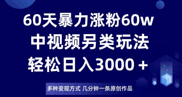 60天暴力涨粉60W，中视频另类玩法，日入3000＋，几分钟一条原创作品多种变现方式-天娱网创