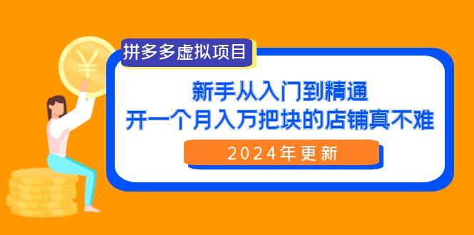 (9744期)拼多多虚拟项目：入门到精通，开一个月入万把块的店铺 真不难(24年更新)-天娱网创