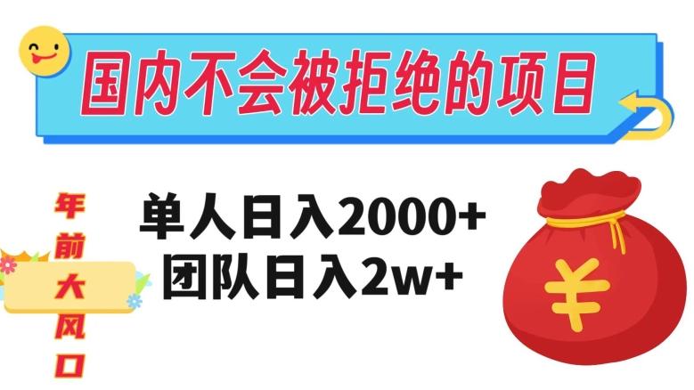 在国内不怕被拒绝的项目，单人日入2000，团队日入20000+【揭秘】-天娱网创