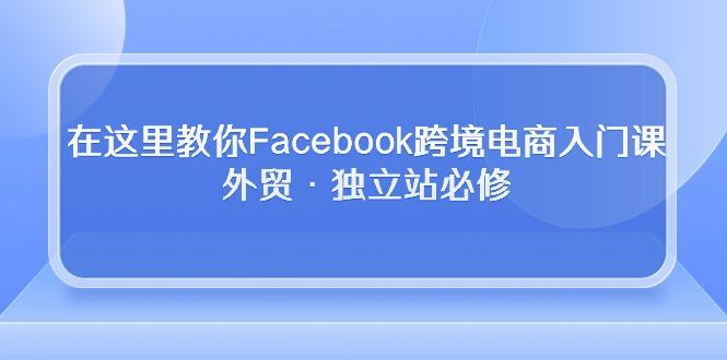 在这里教你Facebook跨境电商入门课，外贸·独立站必修-天娱网创