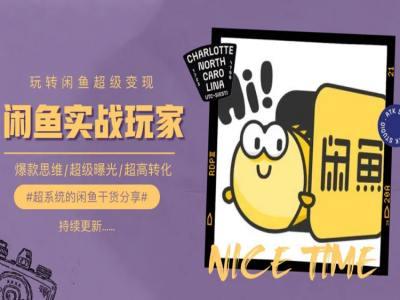 手把手教你0到1系统玩转闲鱼变现，爆款思维/超级曝光/超高转化-天娱网创