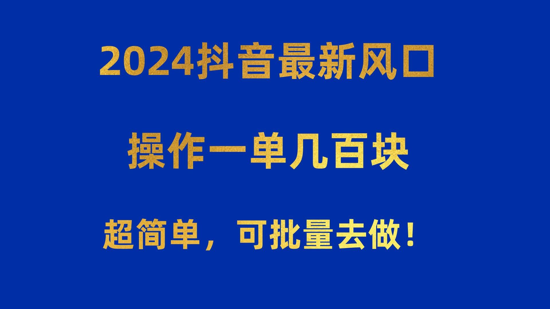 2024抖音最新风口！操作一单几百块！超简单，可批量去做！！！-天娱网创