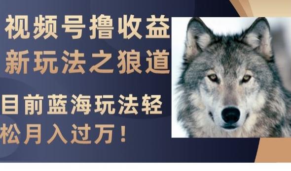 视频号撸收益新玩法之狼道，目前蓝海玩法，轻松月入过万【揭秘】-天娱网创