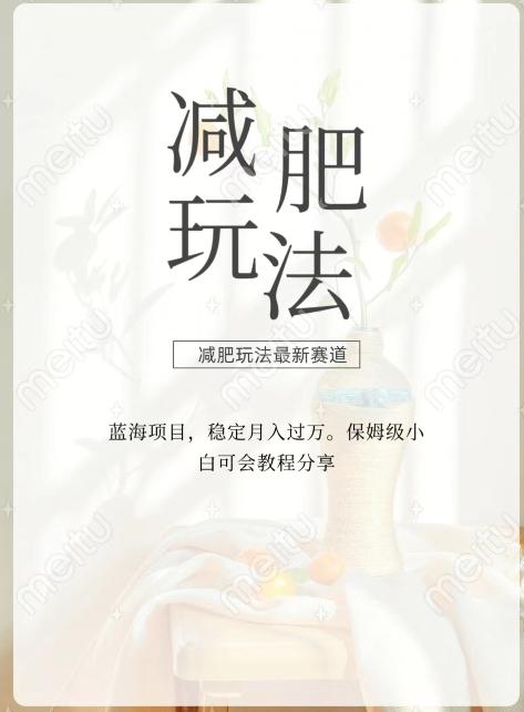 减肥流量主新玩法，轻松月入1W，可矩阵操作收入翻倍-天娱网创