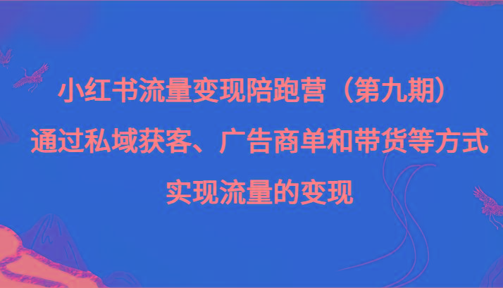 小红书流量变现陪跑营（第九期）通过私域获客、广告商单和带货等方式实现流量变现-天娱网创