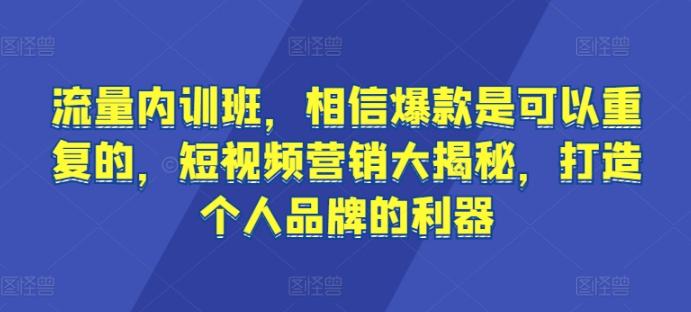 流量内训班，相信爆款是可以重复的，短视频营销大揭秘，打造个人品牌的利器-天娱网创