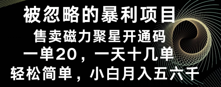 被忽略的暴利项目！售卖磁力聚星开通码，一单20，一天十几单，轻松月入五六千-天娱网创