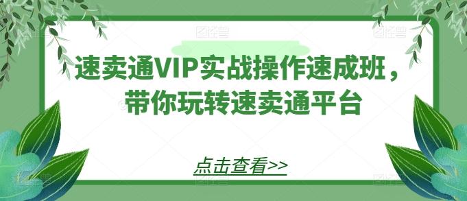 速卖通VIP实战操作速成班，带你玩转速卖通平台-天娱网创