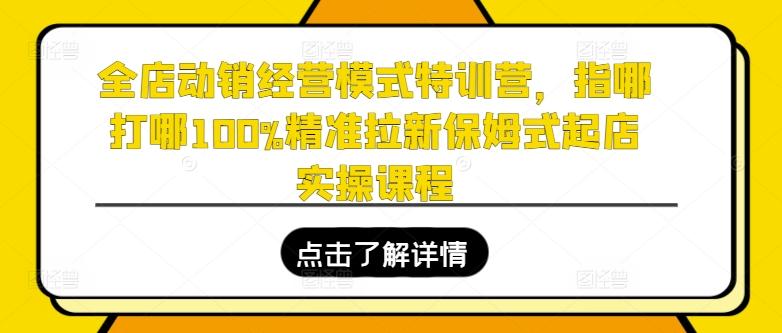 全店动销经营模式特训营，指哪打哪100%精准拉新保姆式起店实操课程-天娱网创