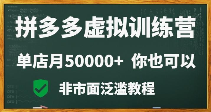 拼多多虚拟电商训练营月入30000+你也行，暴利稳定长久，副业首选-天娱网创