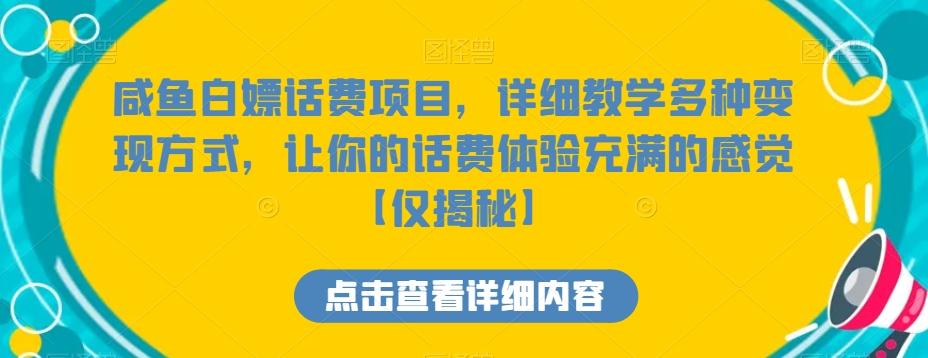 咸鱼白嫖话费项目，详细教学多种变现方式，让你的话费体验充满的感觉【仅揭秘】-天娱网创