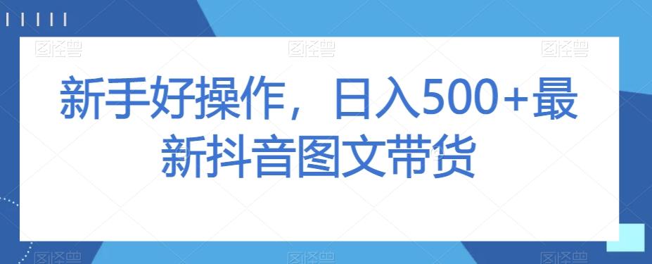 新手好操作，日入500+最新抖音图文带货【揭秘】-天娱网创
